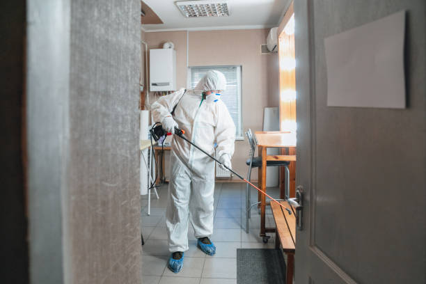 Best Commercial Mold Inspection  in Longview, TX
