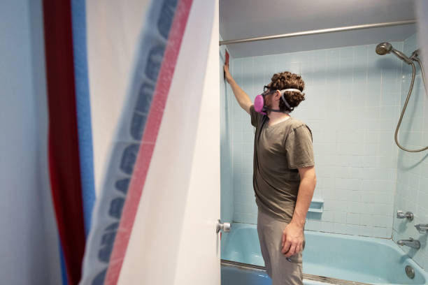 Best Mold Remediation for Healthcare Facilities  in Longview, TX