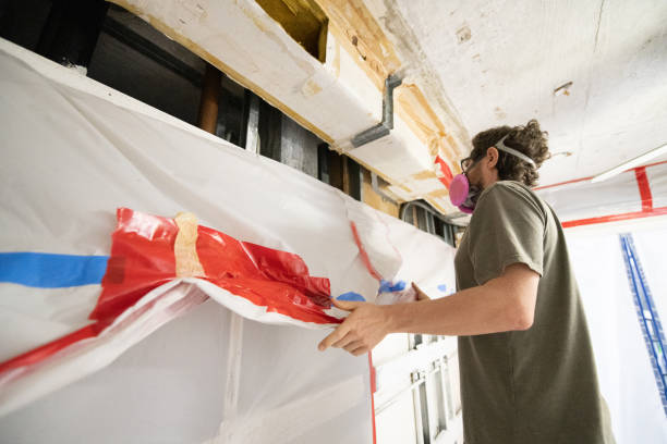 Best Environmental Consulting for Mold Prevention  in Longview, TX