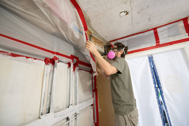 Best Air Quality Testing for Mold Spores  in Longview, TX