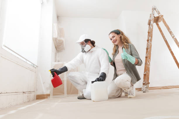 Best Water Damage & Mold Remediation  in Longview, TX