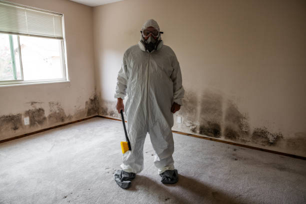 Best HVAC Mold Inspection and Cleaning  in Longview, TX